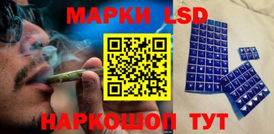 кокс Гатчина