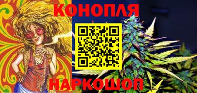 кокс Гатчина