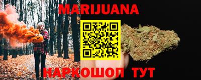кокс Гатчина