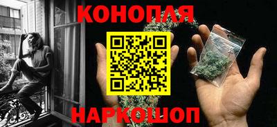 кокс Гатчина